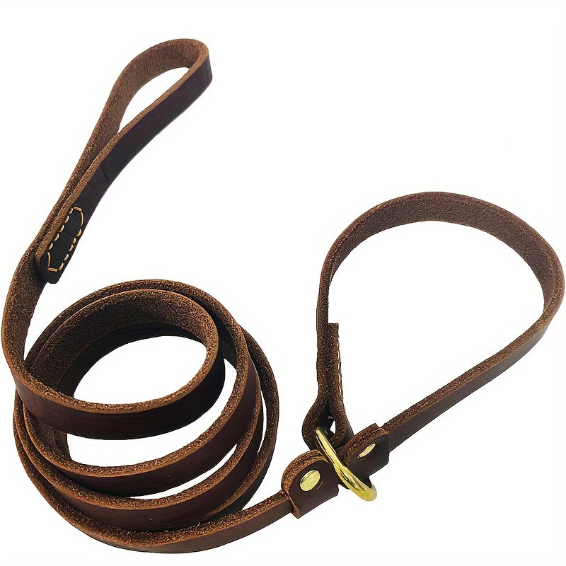 Laisse Plate en Cuir Lasso sous forme P